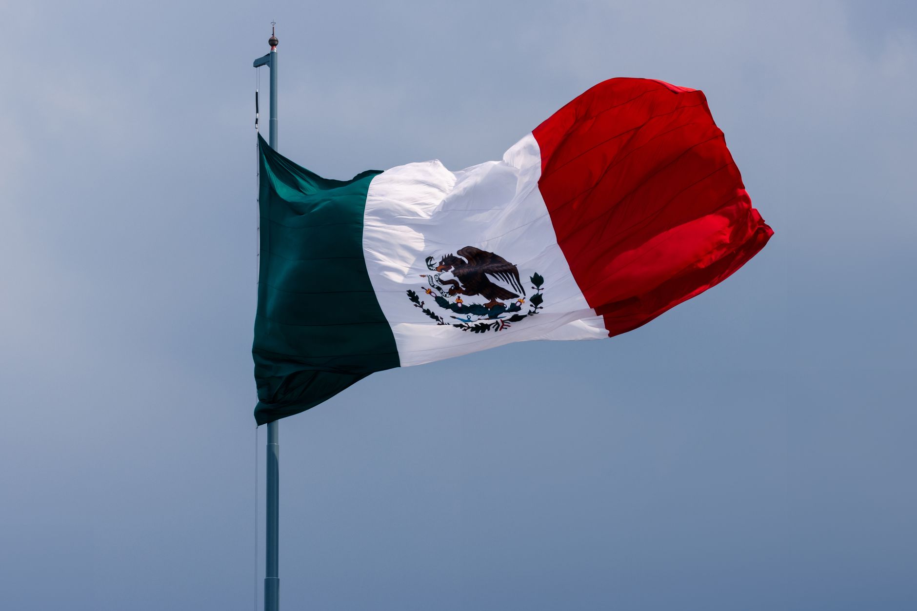 Lee más sobre el artículo Dónde comprar vinilo imprimible y lonas en México: qué evaluar