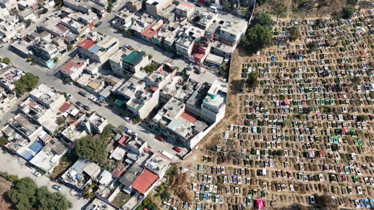 Lee más sobre el artículo Proveedores de insumos gráficos en línea vs tienda física en México